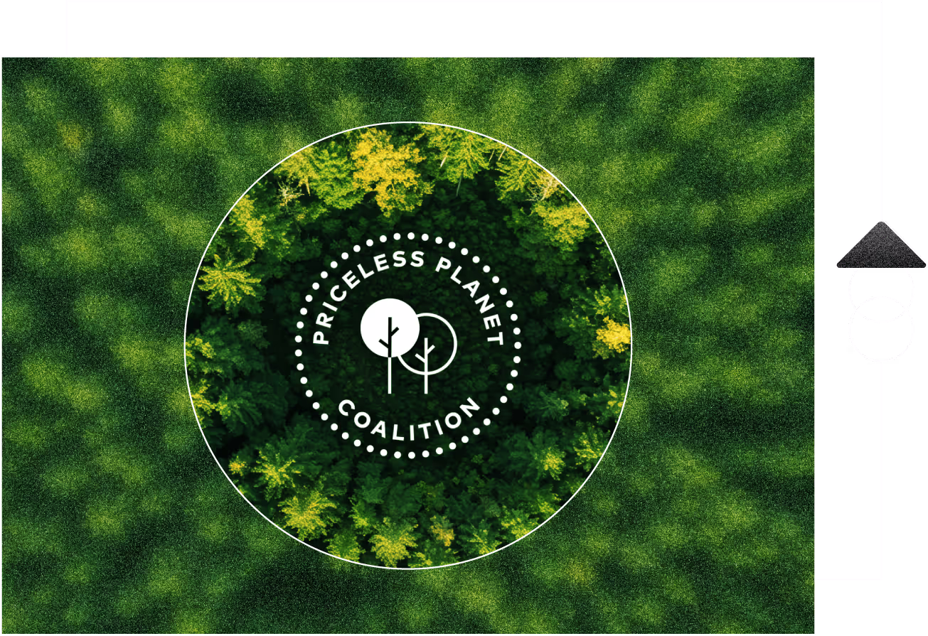 Forest canopy from above, representing the Priceless Planet Coalition reforestation initiative
